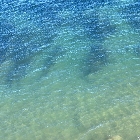 Meet your Posher, Emma - Picture 1 of 1